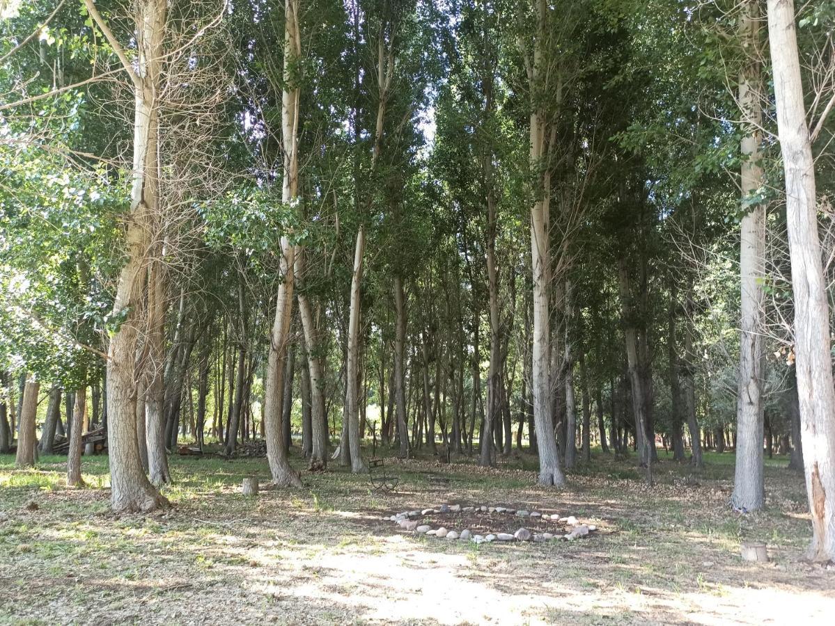 Cabana Ecologica Uspallata Ngoại thất bức ảnh